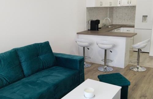 Banja Koviljaca Apartamento | Apartman Sofia