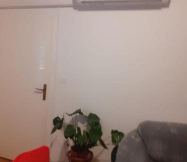 Raslina Apartamento | Apartman Sunce