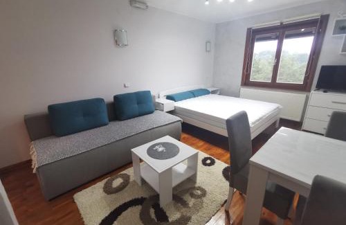 Kremna Apartamento | Apartman Tarski snovi - Tara, Kaluđerske bare