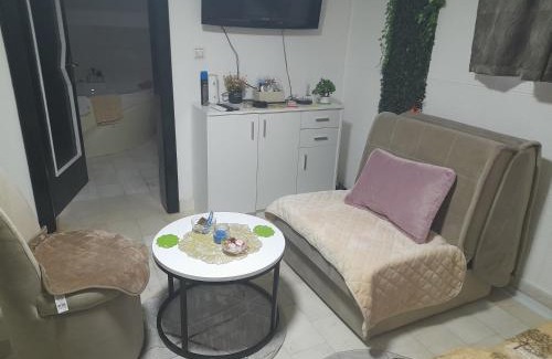 Brcko Apartamento | Apartman Tomic