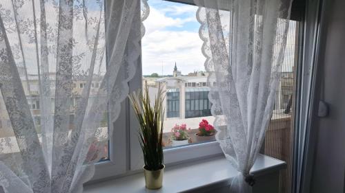 Zemun Apartamento | Apartman u Zemunu