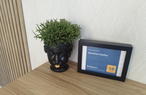 Novi Sad Apartamento | Apartman Vasilisa