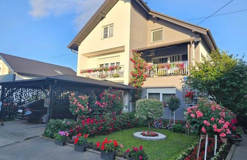 Bjelovar Apartamento | Apartman Vesna