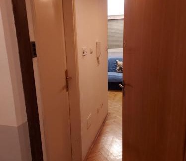 Maini Apartamento | Apartman Vuk