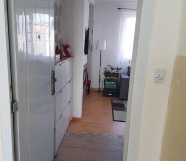 Pirot Apartamento | Apartman VUK
