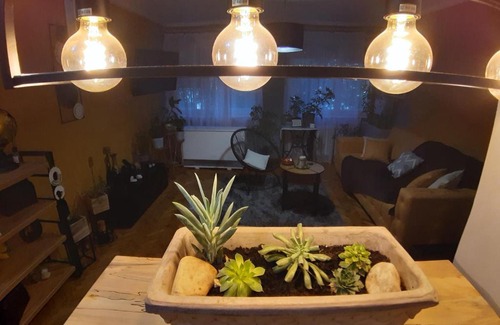 Subotica Apartamento | Apartmani Đurić