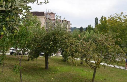 Vrdnik Apartamento | Apartmani Ana