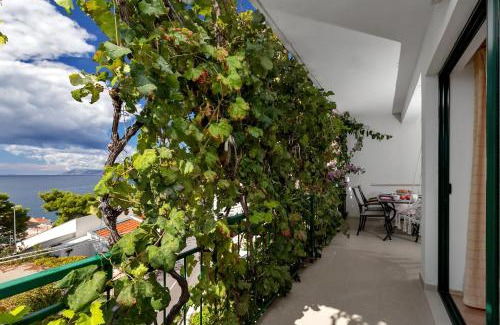 Drasnice Apartamento | Apartmani Antonela