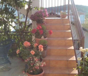 Gjerana Apartamento | Apartmani Dado