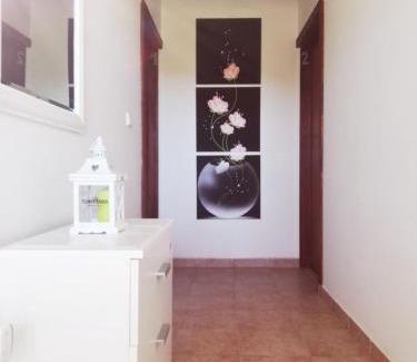 Pirovac Apartamento | Apartmani Danica