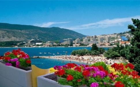 Trebesinj Apartamento | Apartmani Igalo, Herceg Novi