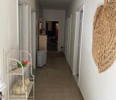 Stari Grad Apartamento | Apartmani Kate