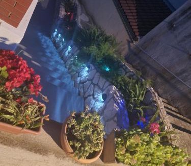 Zavala Apartamento | Apartmani Kulić 25 metara od plaže br 2