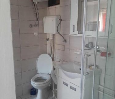 Banja Koviljaca Apartamento | Apartmani Lukic 2