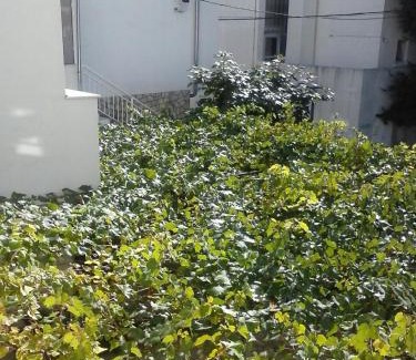 Selce Apartamento | Apartmani Marić