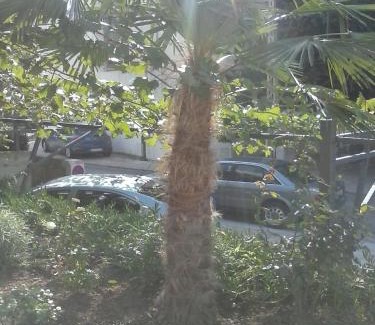 Selce Apartamento | Apartmani Marić