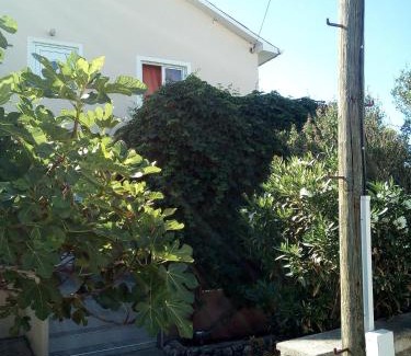 Povljana Apartamento | Apartmani Marija
