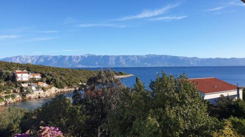 Pokrivenik Apartamento | Apartmani Marko