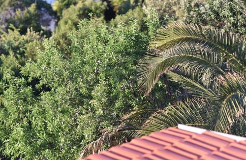 Pokrivenik Apartamento | Apartmani Marko