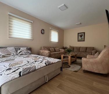 Arilje Apartamento | Apartmani Markovic