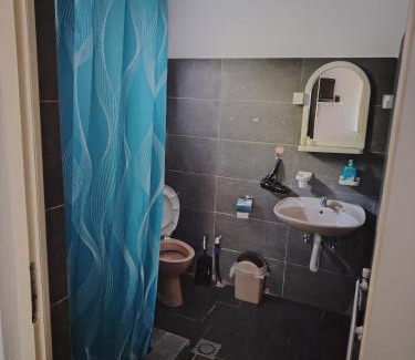 Central Serbia Apartamento | Apartmani Mihajlovic Sisevac
