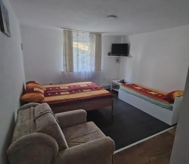 Central Serbia Apartamento | Apartmani Mihajlovic Sisevac