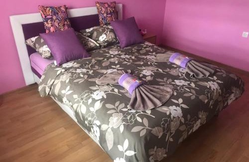 Zlatibor Apartamento | Apartmani NINA Zlatar
