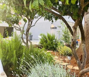 Loviste Apartamento | Apartmani Roxy