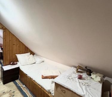Vrujci Apartamento | Apartmani Sanja Banja Vrujci