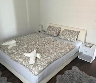 Petrcane Apartamento | Apartmani Sollei