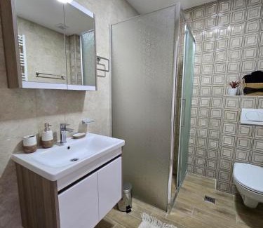 Banja Koviljaca Apartamento | Apartmani Tesic