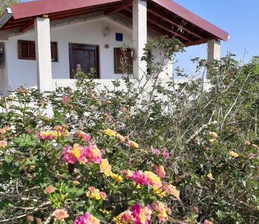 Ivan Dolac Apartamento | Apartmani Toni - Kućica
