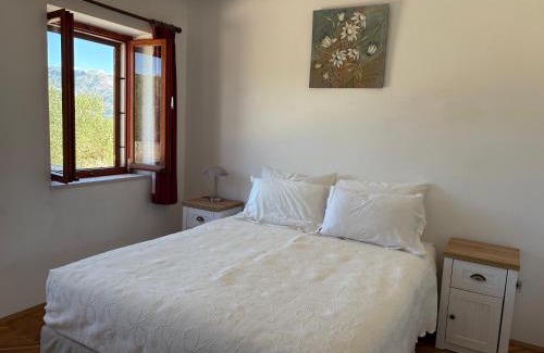 Kneza Apartamento | Apartmani Tonko