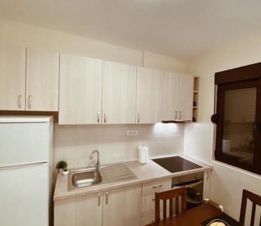 Igalo Apartamento | Apartmani Vucetic MM
