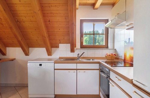 Schonach im Schwarzwald Apartamento | Apartamento 'Sonnenblick Mit Südbalkon' con jardín y balcón compartidos