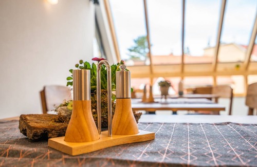 Altenburg Apartamento | Apartamento ∙ 1 huésped