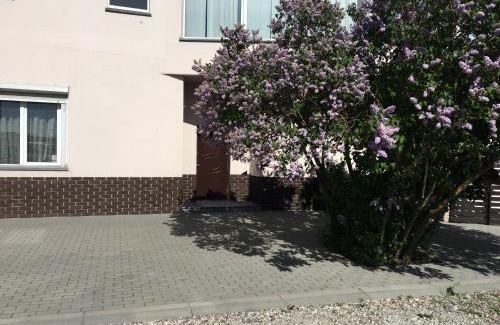 Klaipeda Apartamento | Apartment 120 sq m with an indoor swimming pool