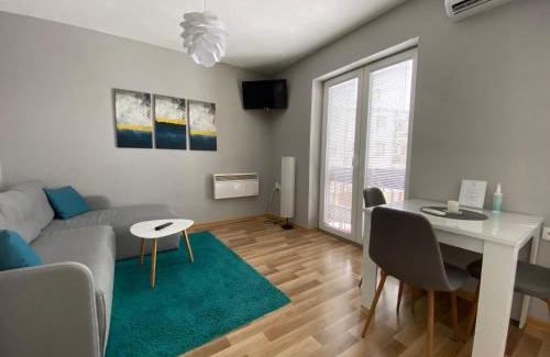 Vrnjacka Banja Apartamento | Apartment 13