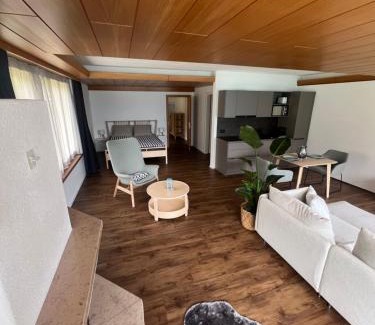 Brienz Apartamento | Apartment 18 am Brienzersee