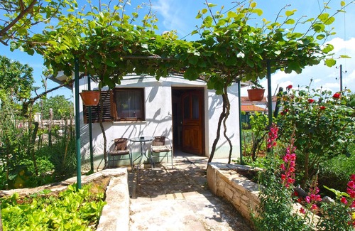 Matohanci Casa | Apartment 1876