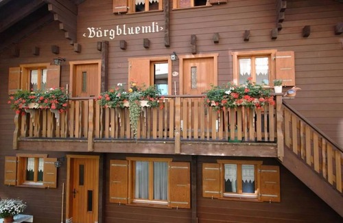 Bettmeralp Apartamento | Apartamento ∙ 2 habitaciones ∙ 4 huéspedes