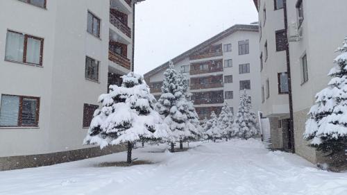 Shiligarnika Apartamento | Apartment 2 Detelina Residence