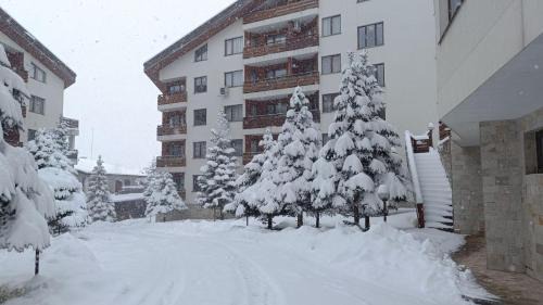 Shiligarnika Apartamento | Apartment 26А Detelina Residence