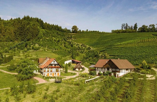 Oberkirch Apartamento | Apartamento '3, 62qm' con Terraza Privada y Wi-Fi