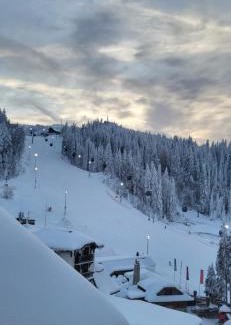 Jahorina Apartamento | Apartment 533 in Aparthotel Vucko Jahorina - Private host