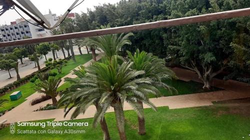 Agadir City Center Apartamento | Apartment 5min from the beach