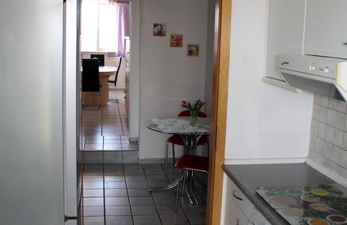 Droyßig Apartamento | Apartamento-Estándar-Baño Privado-Terraza-Fewo Rosi