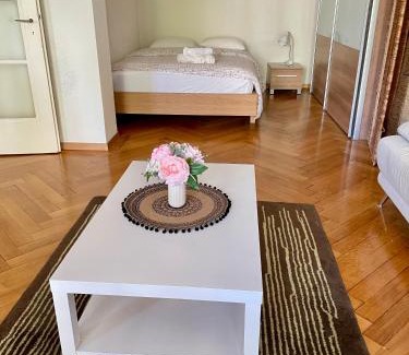 Lausanne Apartamento | Apartment 9 minutes from Lausanne Train statio