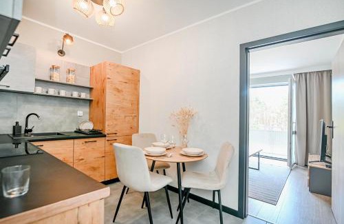 Modrzyca Apartamento | Apartment 93B