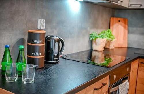 Modrzyca Apartamento | Apartment 93B
